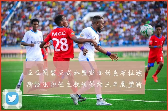 亚亚图雷正式加盟斯洛伐克布拉迪斯拉法担任主教练签约三年展望新篇章